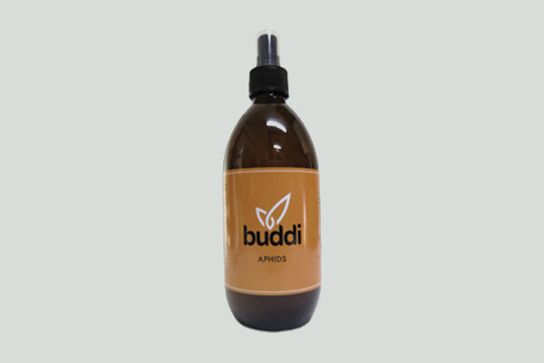 Buddi Aphids Organic Pesticide 500ml Buddi Aphids Organic Pesticide 500ml