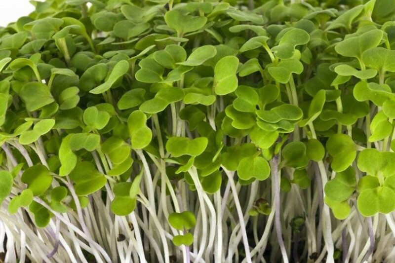 Green Mizuna 200g