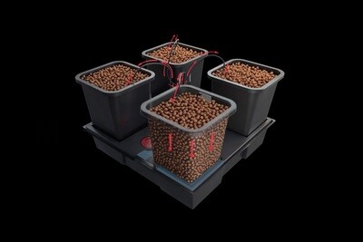 Auto Watering Pots