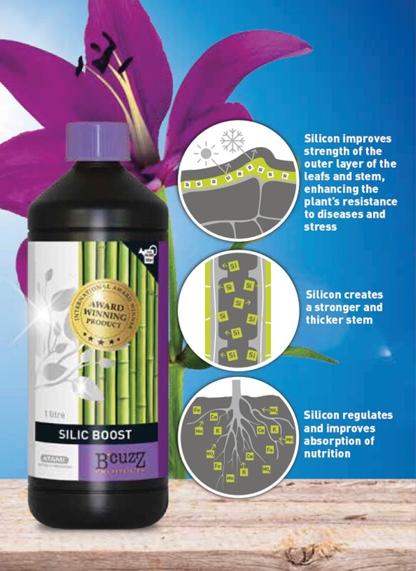 B’CUZZ Silic Boost 100ML