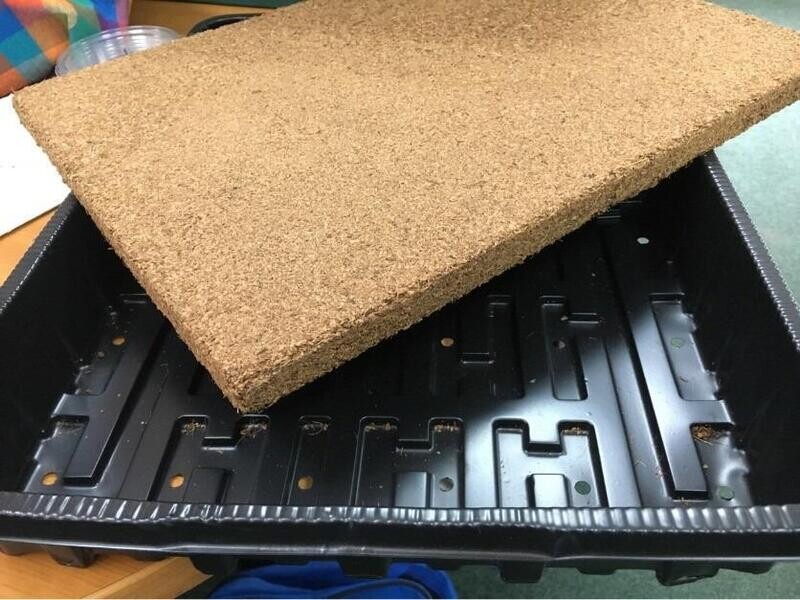 Jiffy Microgreen Tray 30cmx40cm - Single Cavity