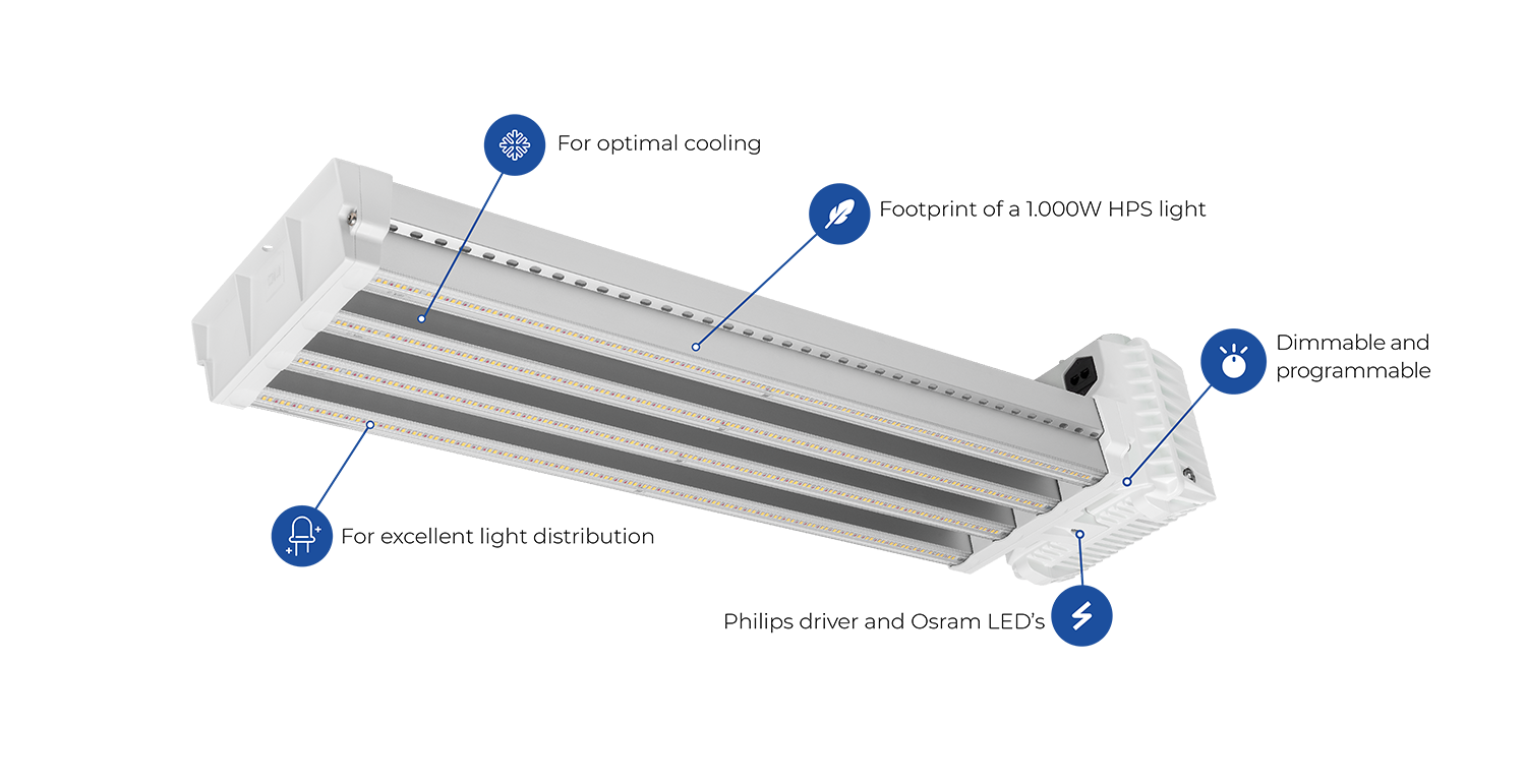 DLI APEX-Series 800 FS DC