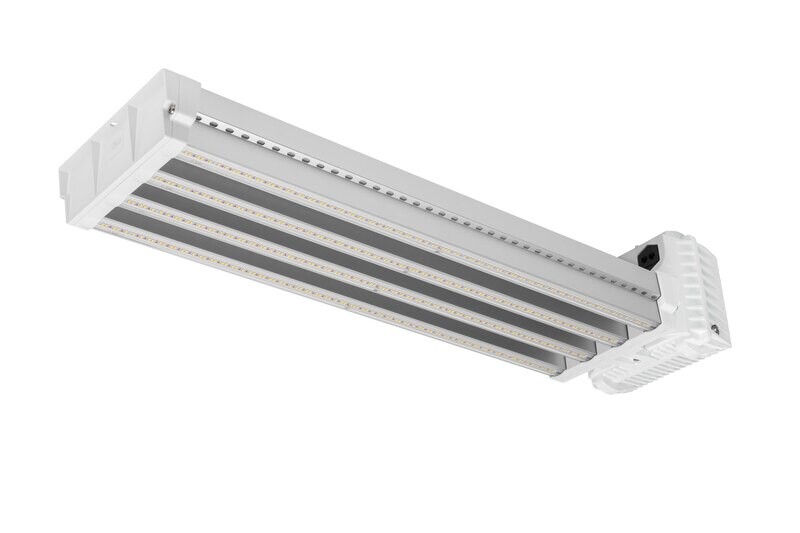 DLI APEX-Series 800 FS DC