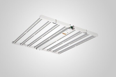 Dutch Lighting Innovations