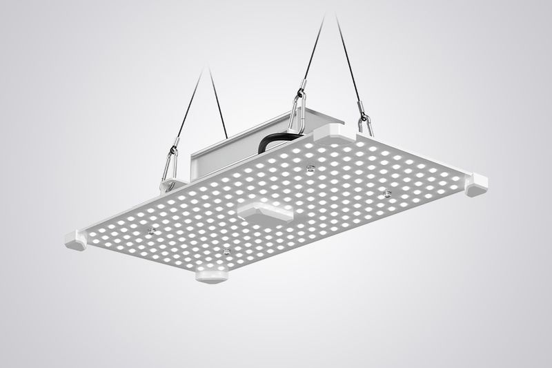 LUMii BLACK Blade 100W LED