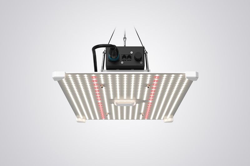 LUMii BLACK Blade 200W LED