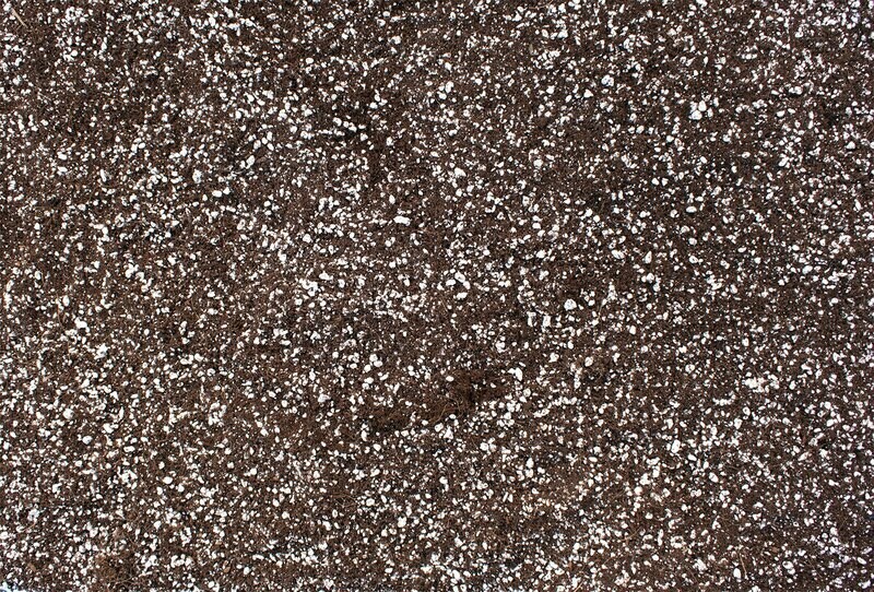 High Porosity Cocos