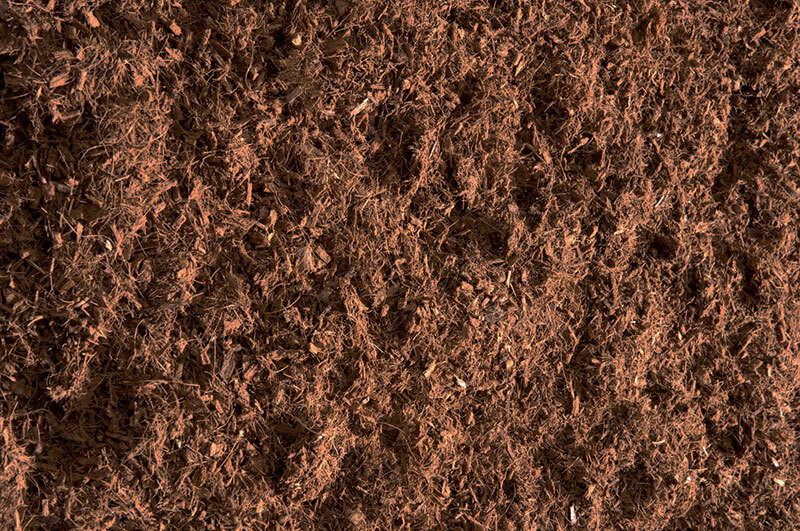Cocos Substrate