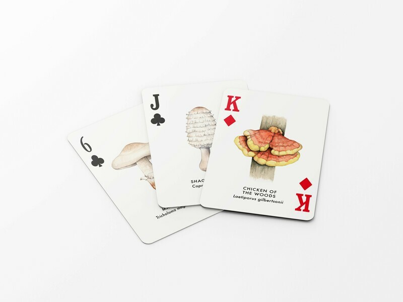 The North American mushrooms playing cards deck