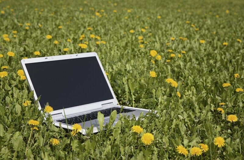 Digital Detektives /  Woche 8