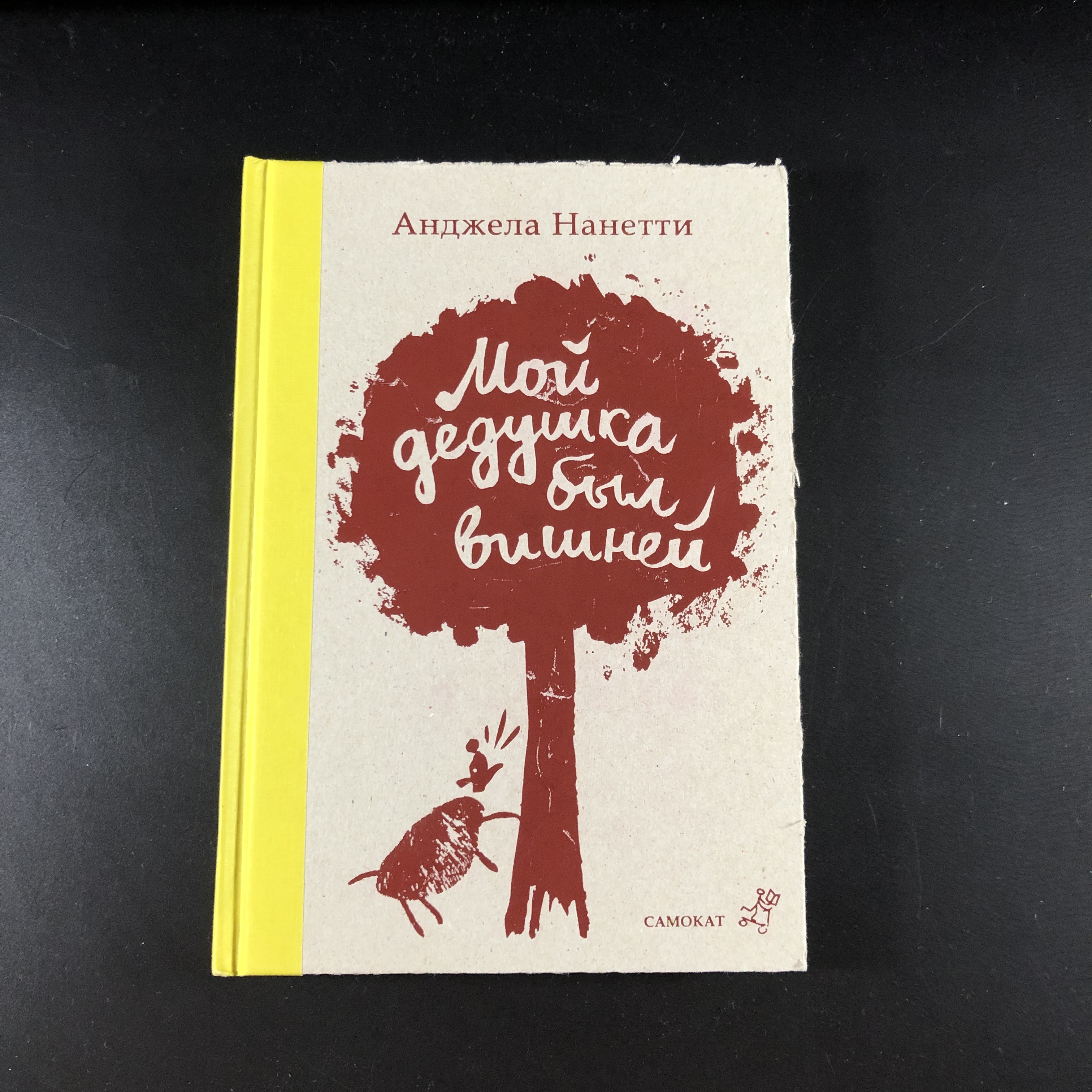 Анджела нанетти мой дедушка был вишней. Обложка книги мой дедушка был вишней. Обложка книги мой дедушка был вишней. Мой дедушка был вишней содержание. Мой дедушка был вишней анджела нанетти книга.
