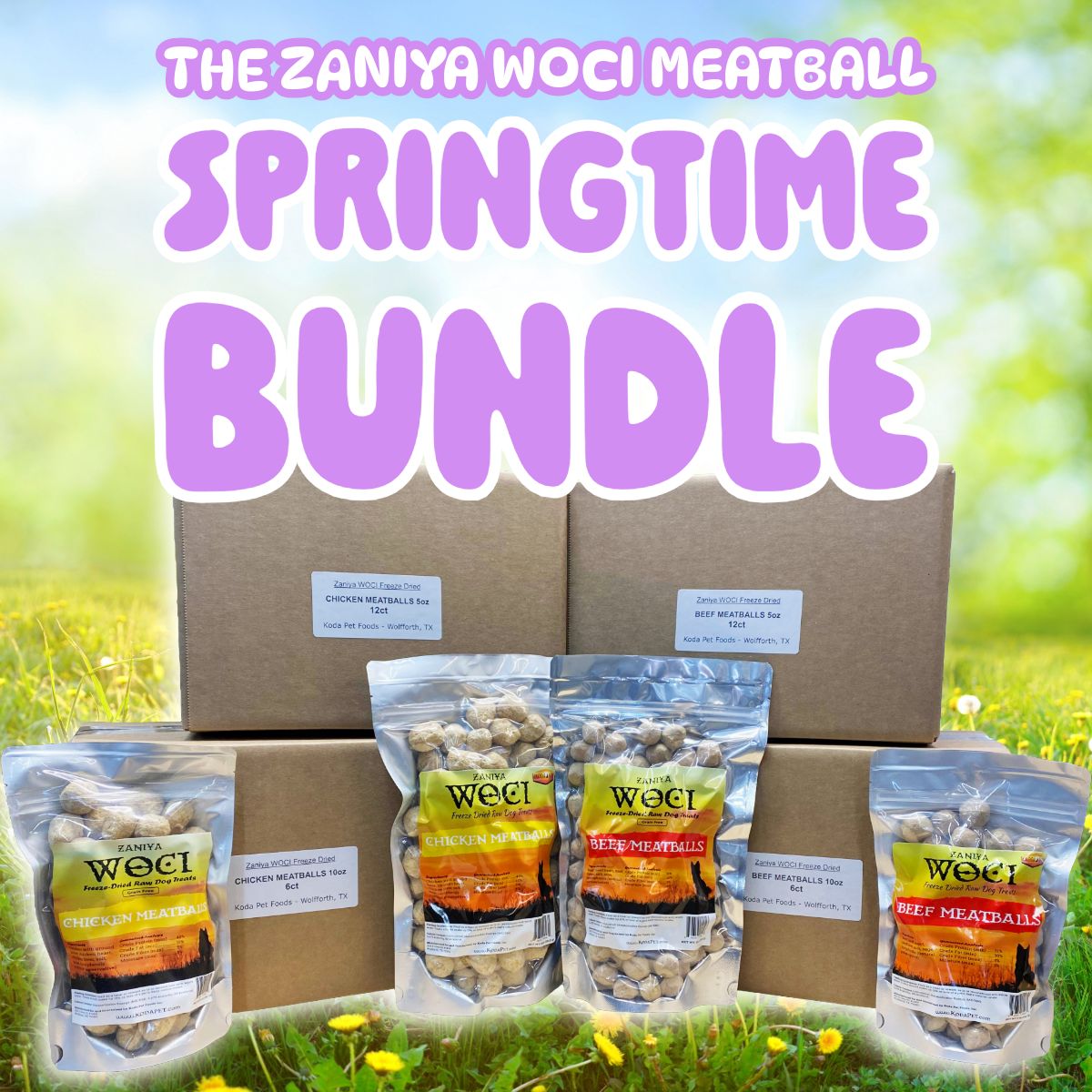 Zaniya WOCI Springtime Meatball Bundle