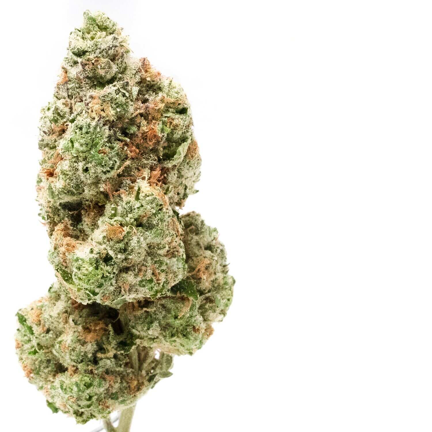 Lemon Haze 

 Desde 3€ gr.