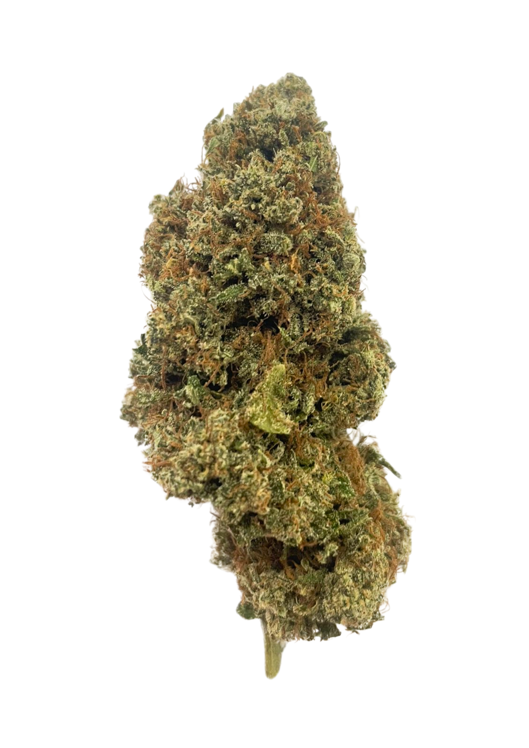 Swiss Critical    Desde 6€ gr