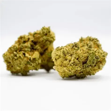 AK47 Indoor