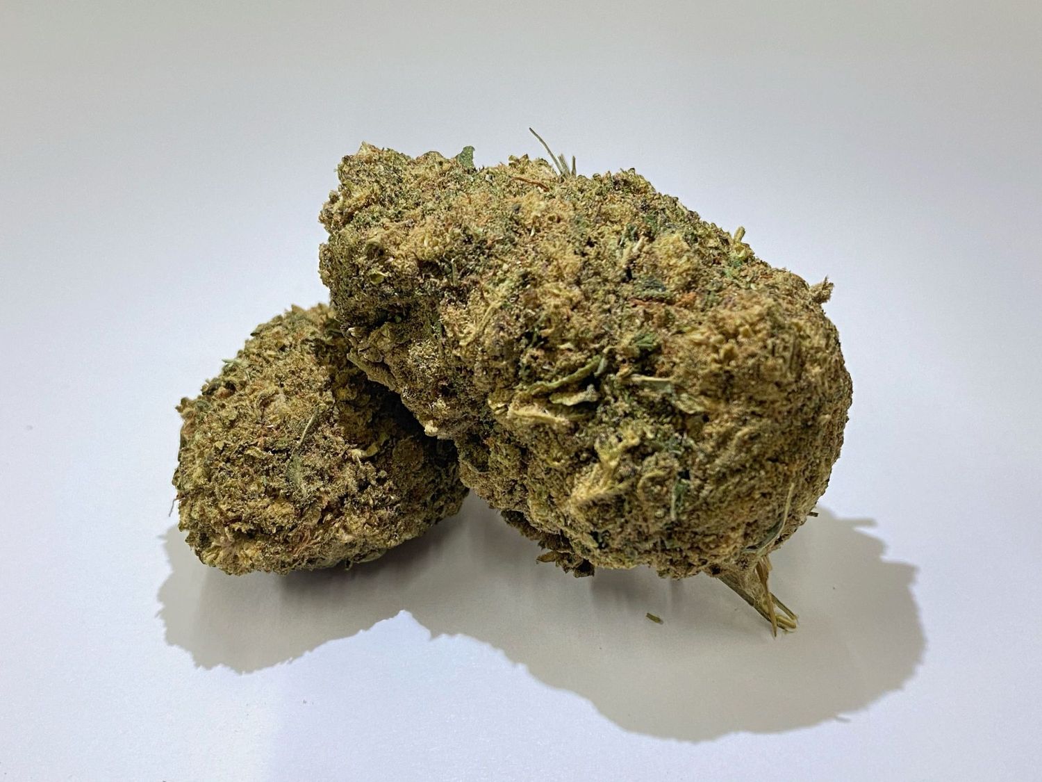 Pineapple Indoor