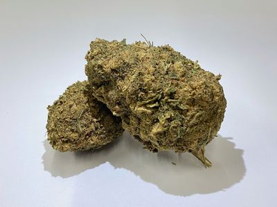 Pineapple Indoor Pineapple Indoor