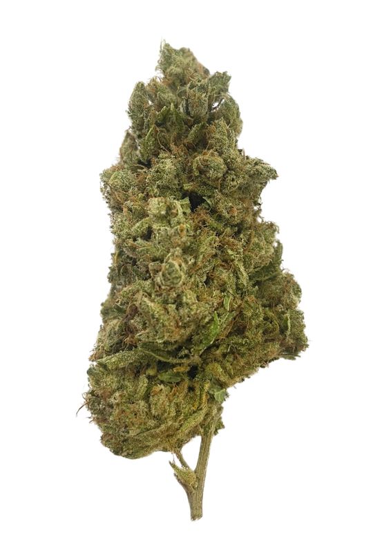 Gorilla Candy desde 6€/gr