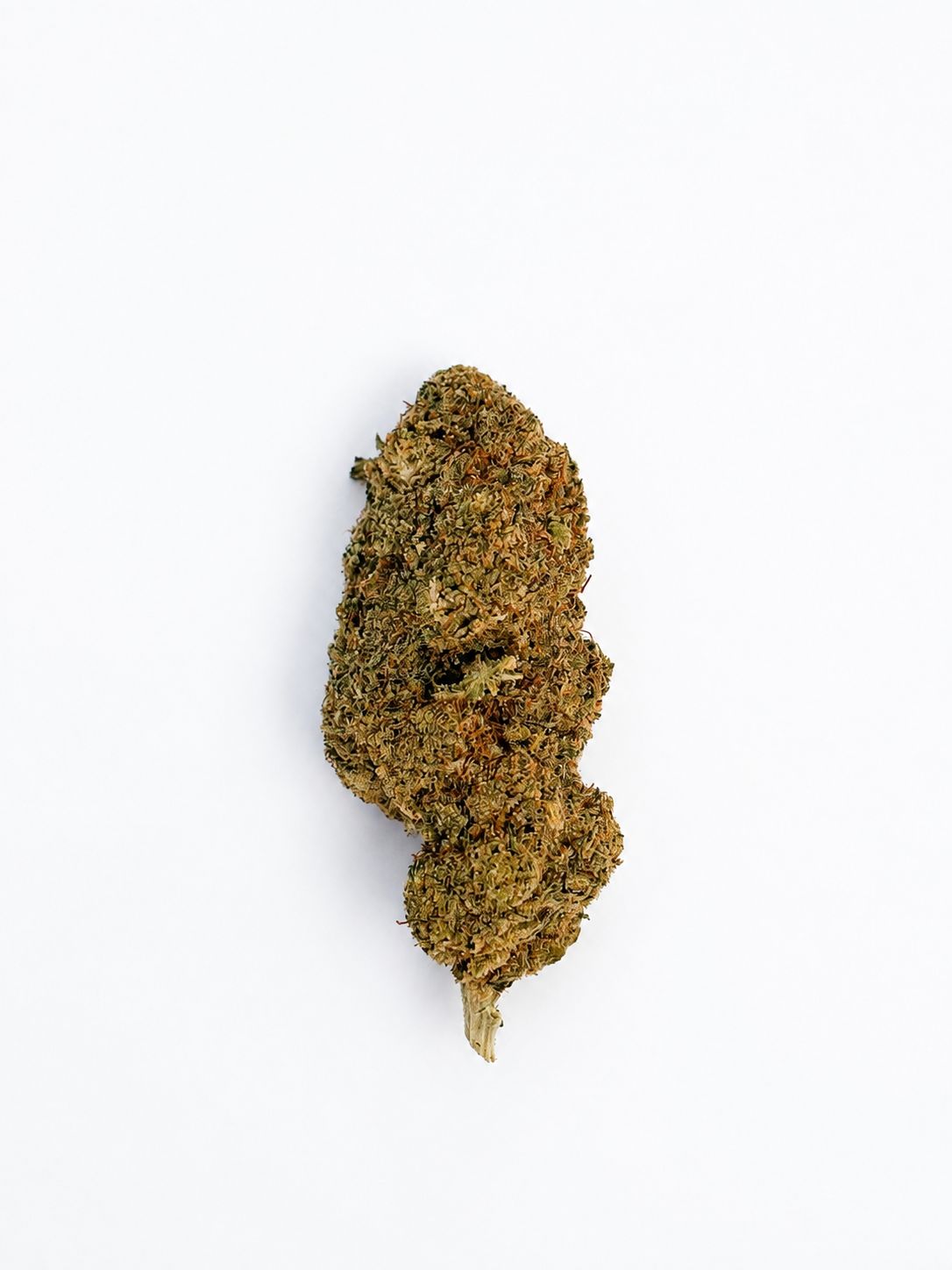 Swiss Bubble( Novedad) Swiss Bubble( Novedad)