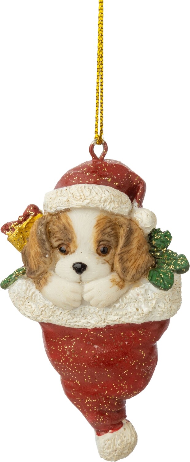 Painted resin puppy in Christmas hat ornament, red, 3 in  12            