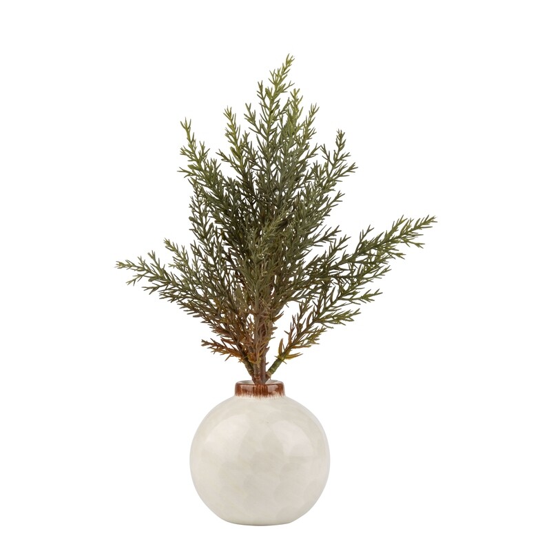 Bristle tree in ceramic pot table piece, antique white ceramic pot with green bristle tree, 10 in  6            