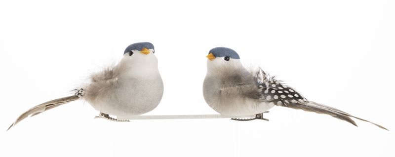 2 Asst&#39;d clip-on birds, blue, 5 in  24      