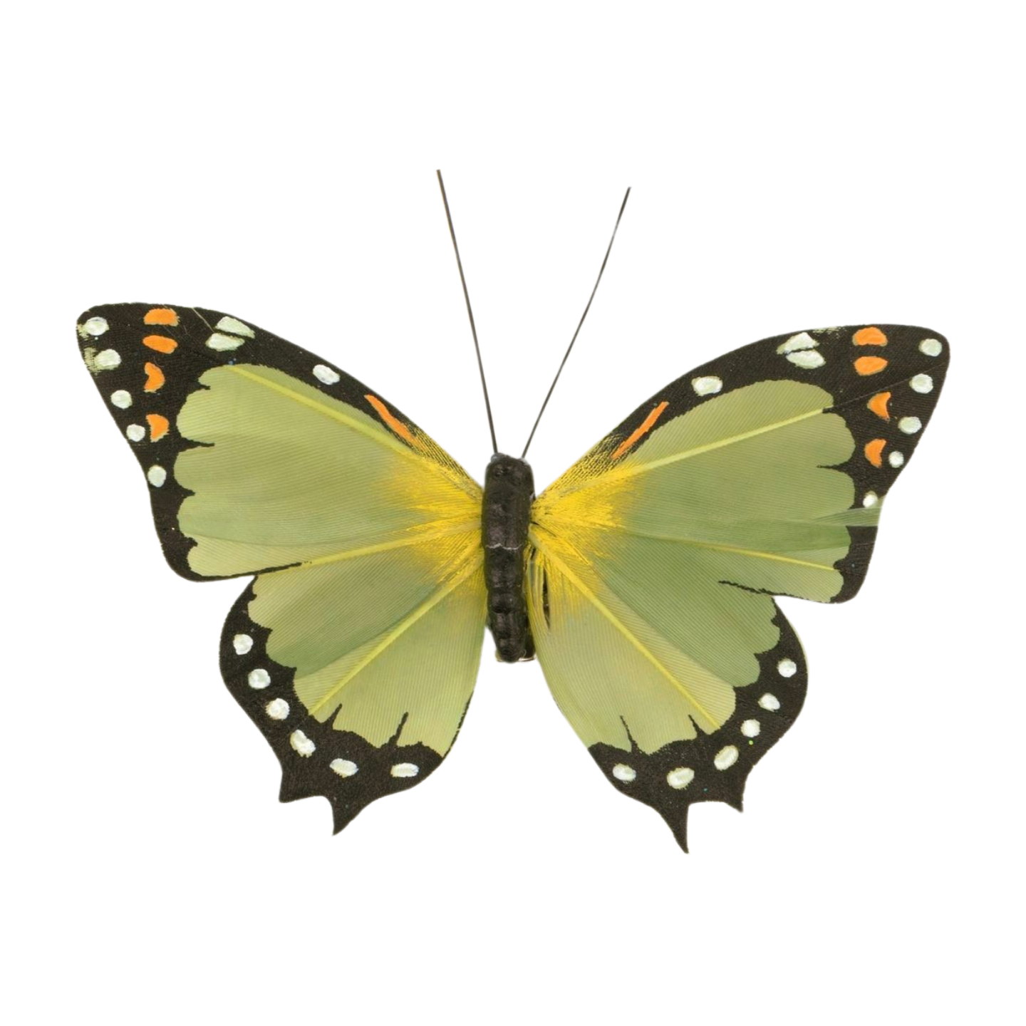 Pale green butterfly clip, 4 in  24       