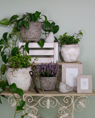 DÉCOR - CEMENT POTS &amp; ACCESSORIES
