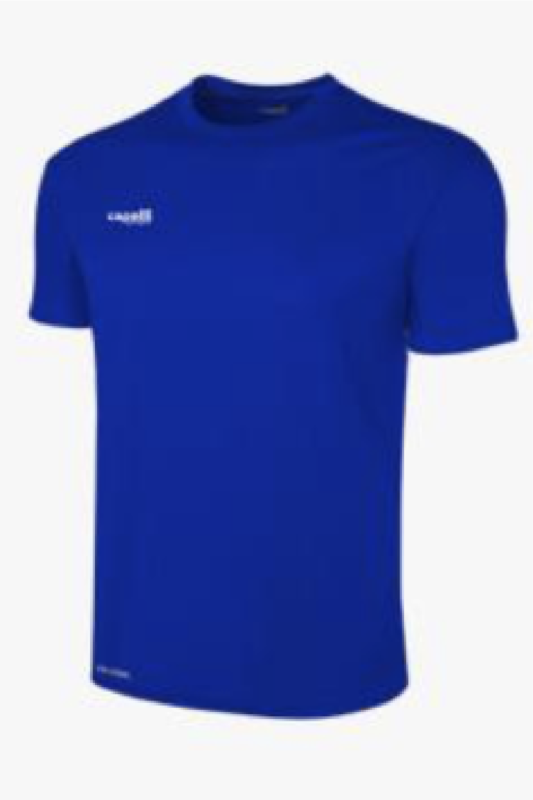 Capelli Sport Training Jersey Royal Blue