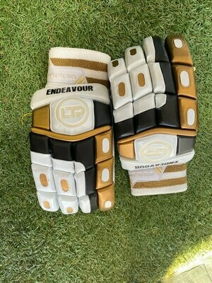 LTP ENDEVOUR STYLE PLAYERS GLOVES
