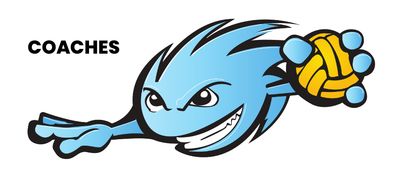 Hurricanes Coaches