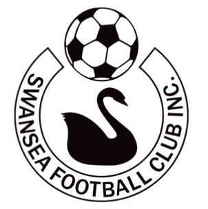 Swansea Football Club