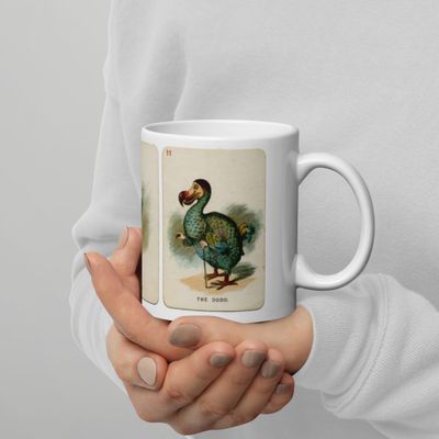 Alice and the Dodo Bird - Alice's Adventures in Wonderland White Glossy Mug