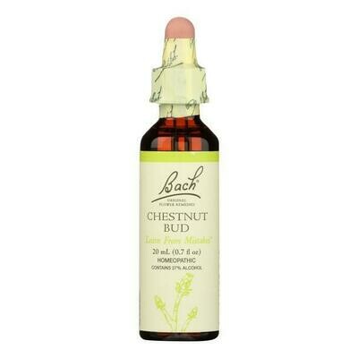 Bach Flower Chestnut Bud Learn From Mistakes Bach Flower Chestnut Bud Learn From Mistakes