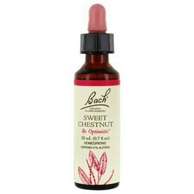 Bach Flower Sweet Chestnut Be Optimistic Bach Flower Sweet Chestnut Be Optimistic