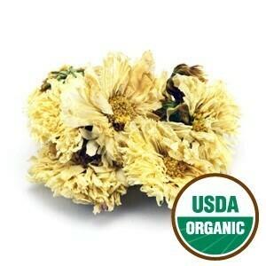 Chrysanthemum Flowers White Org SKU 209210-04 Chrysanthemum Flowers White Org SKU 209210-04