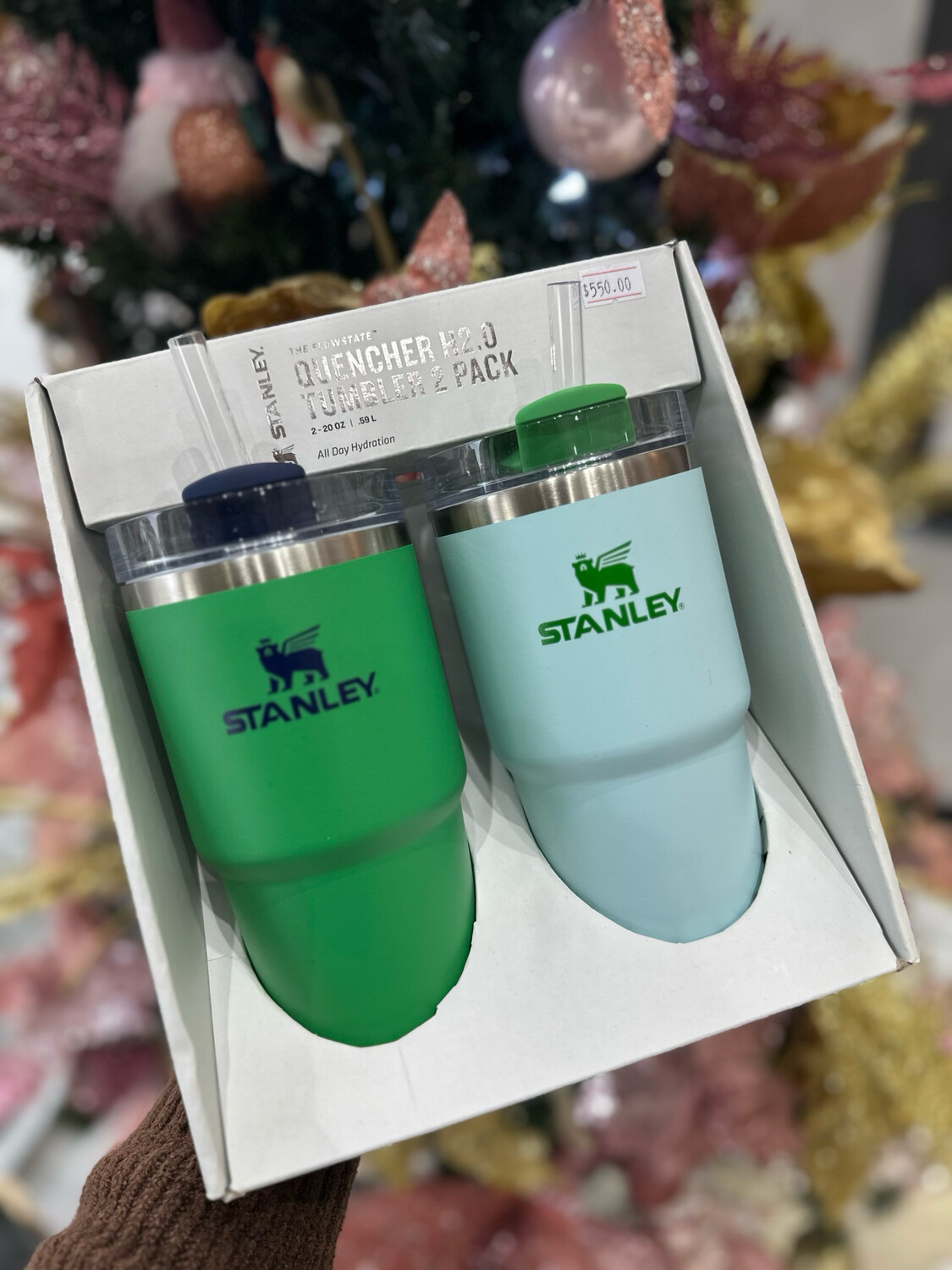 Stanley Quencher Duo