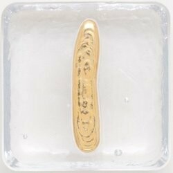2.5" Letter I - Gold