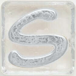 2.5" Letter S - Platinum