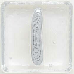 2.5" Letter I - Platinum
