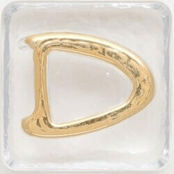 2.5" Letter D - Gold