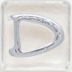 2.5" Letter D - Platinum