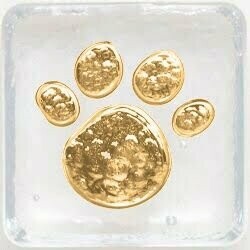 3" Paw Print - Gold