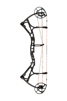 Bear Motive 6