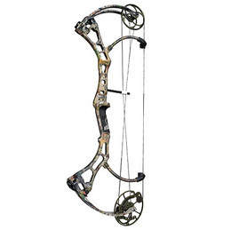 Bear Domain Bow