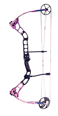 Quest Bliss Bow