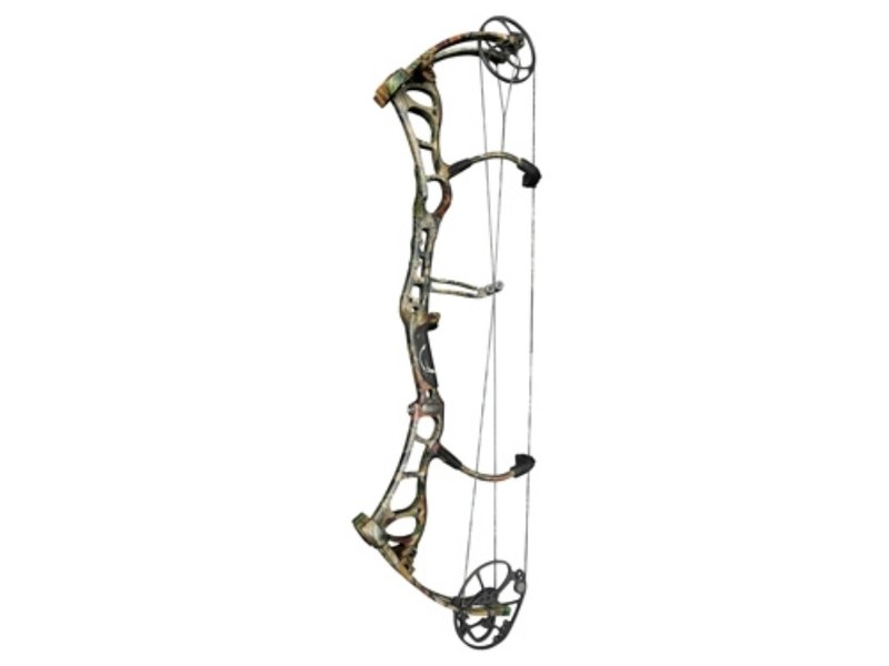 Bear Anarchy Bow