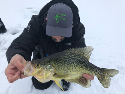 Crappie Baits