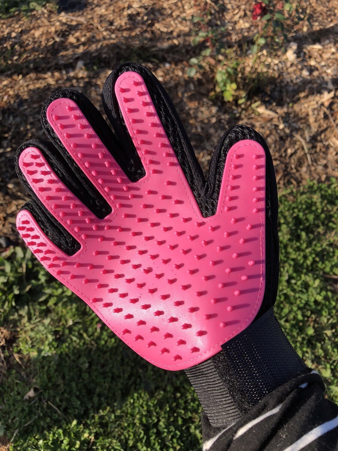 Grooming 🧤 Glove