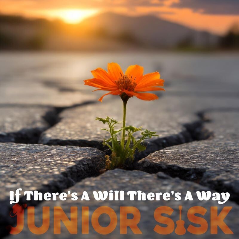 Junior Sisk - If There&#39;s a Will There&#39;s a Way